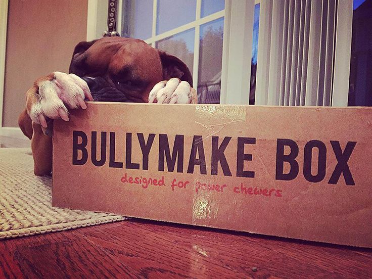 Subscription Box Comparison: BoxDog vs Bullymake