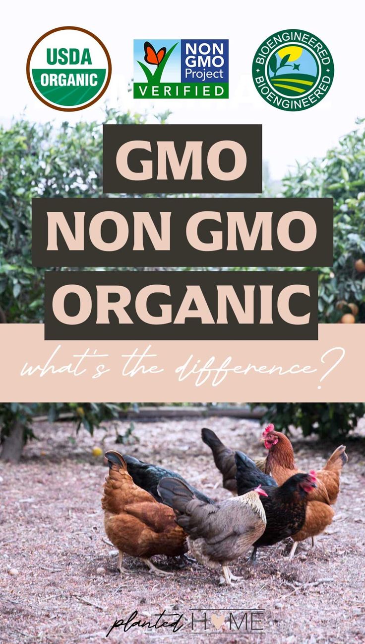 Tips to Save on Organic and Non-GMO Vitamins